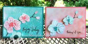 Stampin up Climbing Orchid Thinking of you and Enjoy Today cards in Flirty Flamingo and Bermuda Bay
