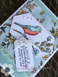 Stampin Up Free as a bird friendship card